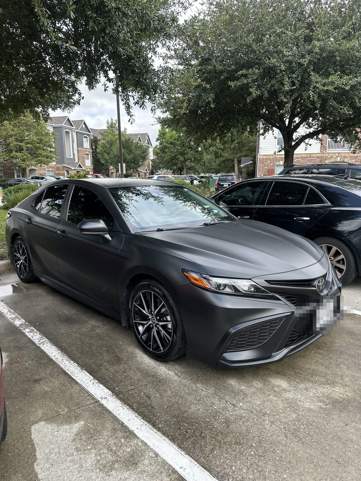 Matte Paint Detail, Fresh Path Mobile Detailing, Houston, TX